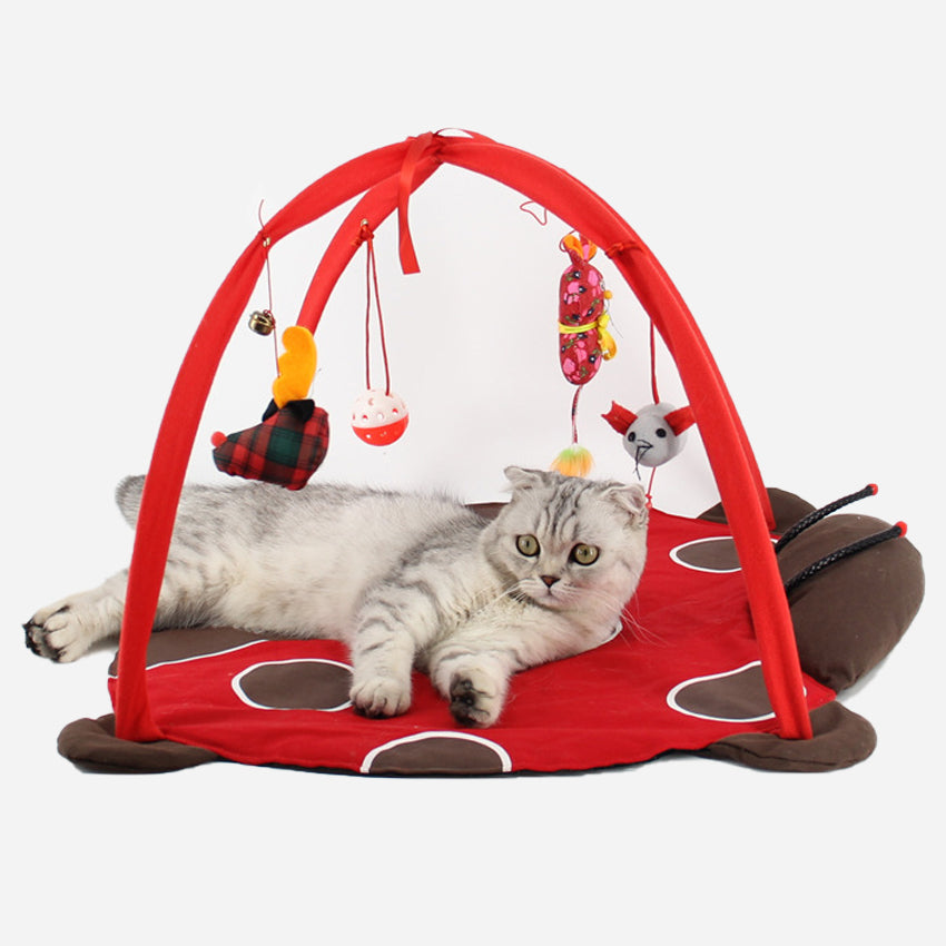 Cat Toy Bed