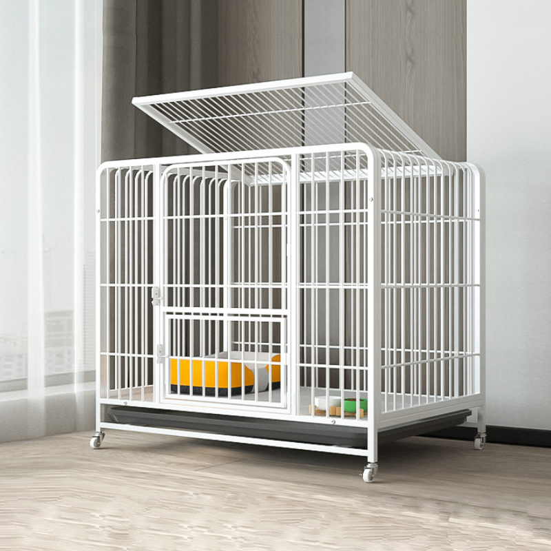 Foldable Pet Crate