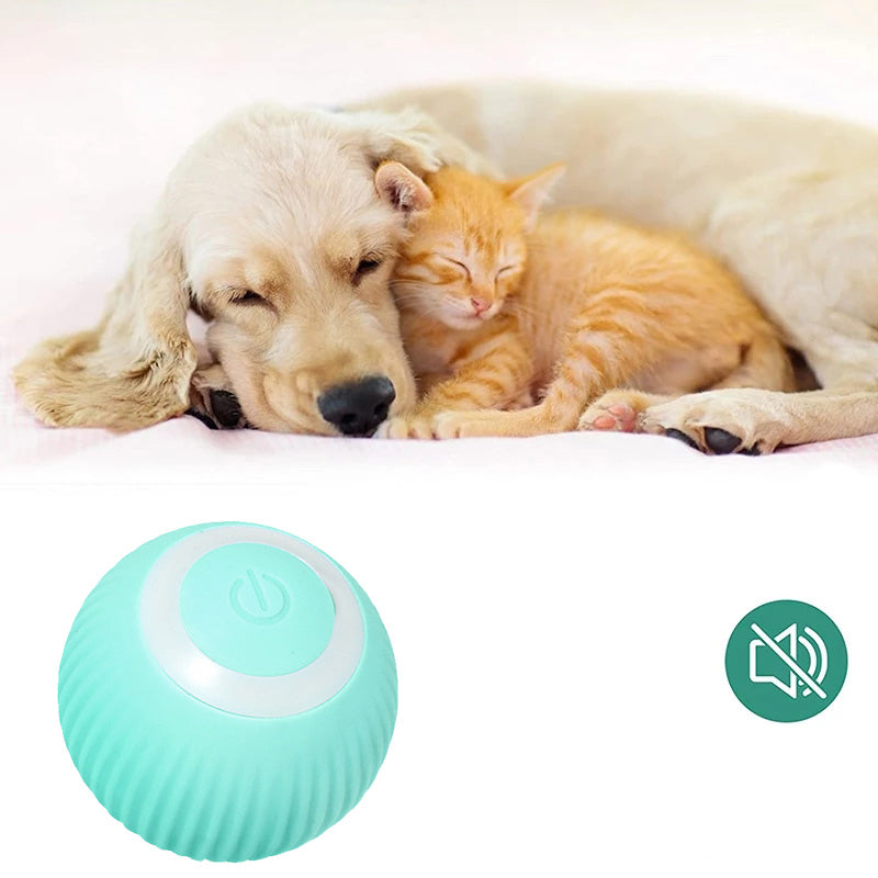 Smart Rolling Ball for Pets