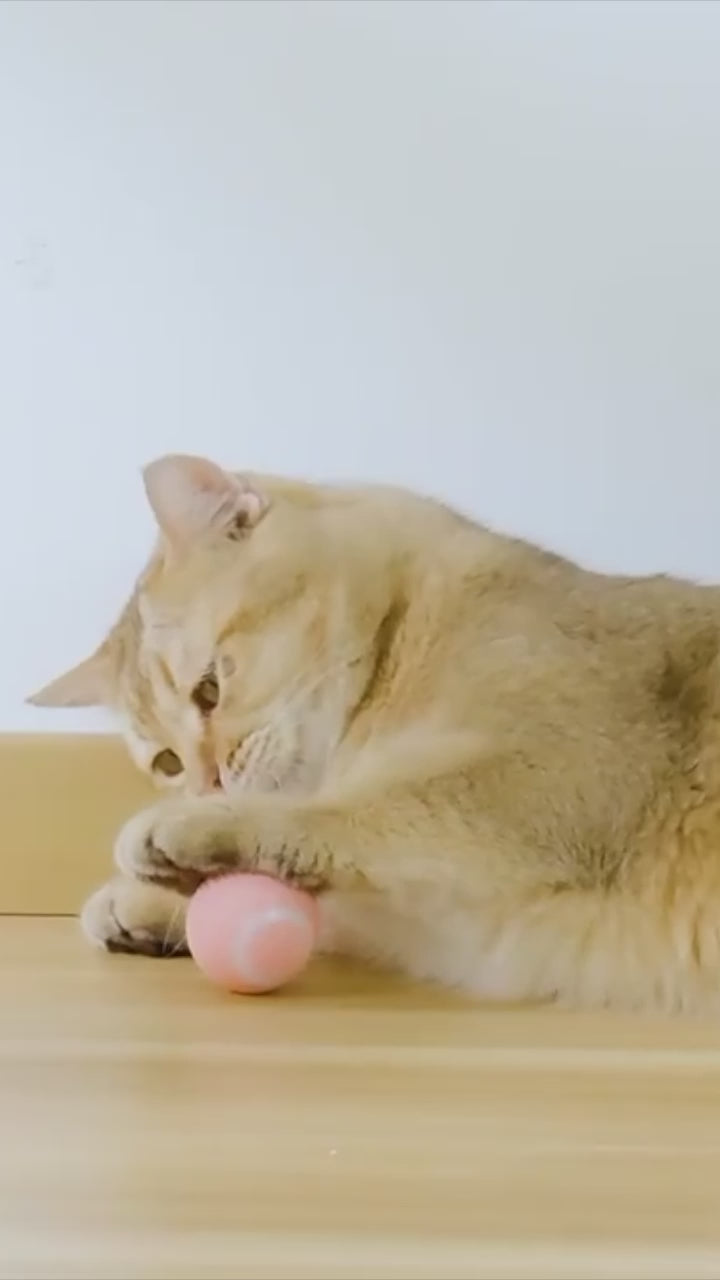 Smart Rolling Ball for Pets