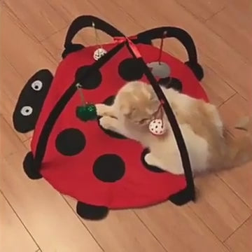 Cat Toy Bed