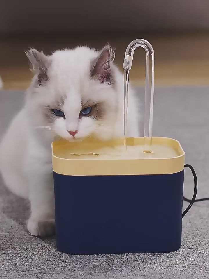 Ultra-Quiet Pet Water Fountain