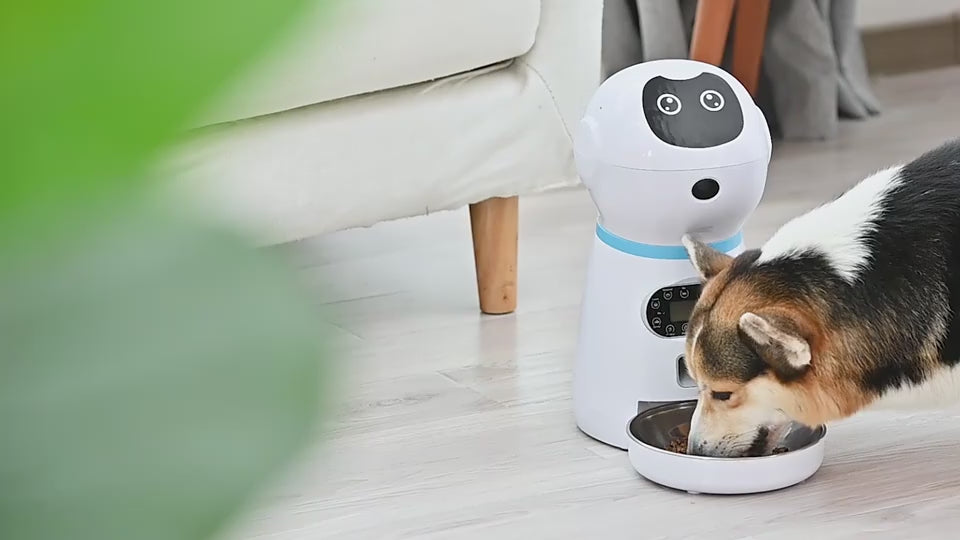 Automatic Pet Feeder